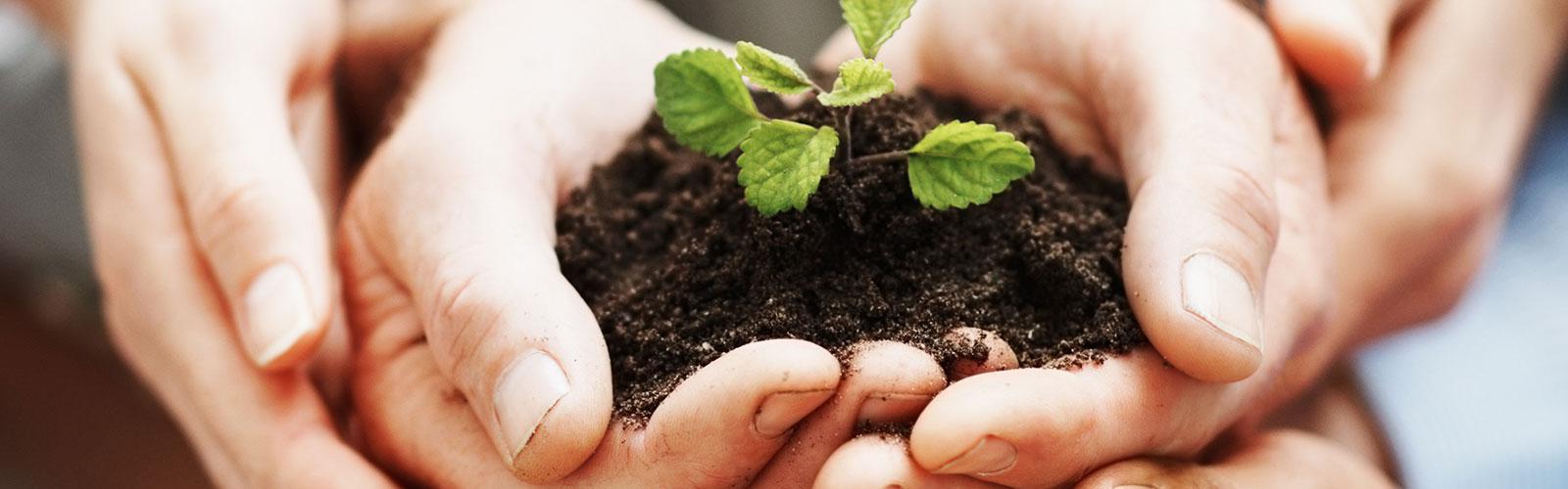 Development Solutions