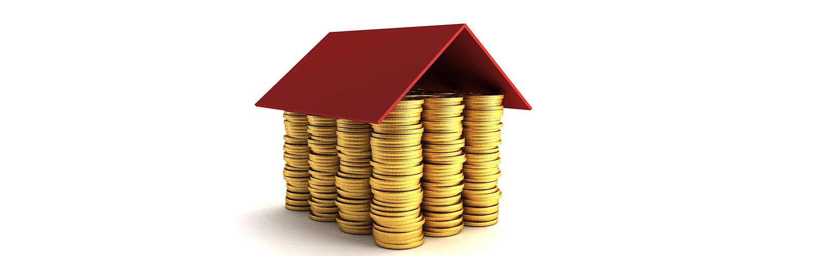 Investment Opportunities