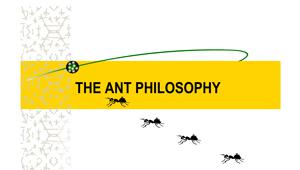 The Ant Philosophy